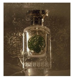 Hybrid Gaya Green 75 ml - Anfas Kostenloser Versand und Rat!