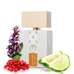 Bianco Gold - Giardini di Toscana Kostenloser Versand!