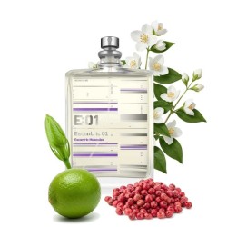 ESCONTRIC 01 EDT 100 ml - Escentric Molecules Kostenloser Versand!