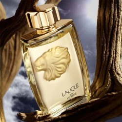 Lalique - Gießen Sie Homme Lion Eau de Toilette - amadelisierter Mann.