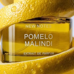 Grapefruit Malindi Extrait - New Notes Kostenlose Beratung und Sendungen!