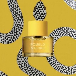 Grapefruit Malindi Extrait - New Notes Kostenlose Beratung und Sendungen!