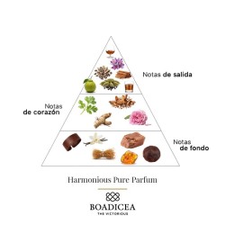 Harmononus reines Parfum 100 ml - Boadicea The Victorious Kostenlose Beratung und Sendungen!
