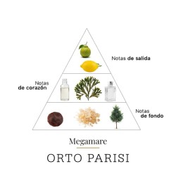 Megamare - ORTO PARIS FREE CONSULTING UND VERSAND!