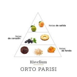 Risvelium 50 ml - ORTO Parisi Beratung und kostenloser Versand!