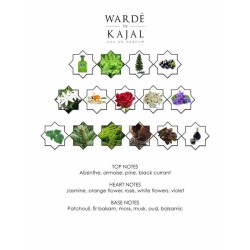 Wardde von Kajal EDP 100 ml - Kajal Freies Verschiffen!