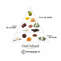 Oud Island 100 ml - Montale Paris Kostenlose Beratung und Sendungen!
