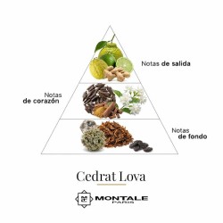 Cedrat Lova 100 ml - Montale Paris Kostenlose Beratung und Sendungen!