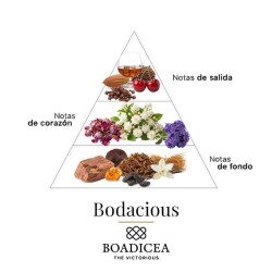 Bodacius 100 ml - Boadicea The Victorious Kostenlose Beratung und Sendungen!