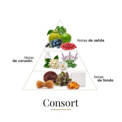 Consort 100 ml - Boadicea The Victorious Kostenlose Beratung und Sendungen!