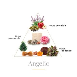 Angelic 100 ml - Boadicea The Victorious Kostenlose Beratung und Sendungen!