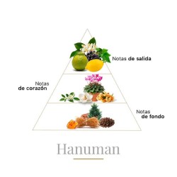 Hanuman Pure Parfum 100 ml - Boadicea The Victorious Kostenlose Beratung und Sendungen!