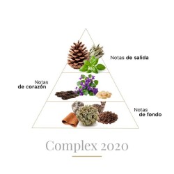 Komplexes 2020 reines Parfum - Boadicea The Victorious