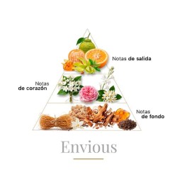 Envoudus 100 ml - Boadicea The Victorious Kostenlose Beratung und Sendungen!