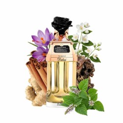 Narjesi EDP 90 ml - Der Geist von Dubai Freiberatung und Sendungen!