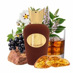 Il padrino 100 ml - Sospiro Kostenlose Beratung und Sendungen!