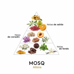 Aitona - Mosq Kostenlose Beratung und Sendungen!