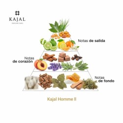 Kajal Homme ll EDP 100 ml - Kajal Freies Verschiffen!