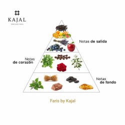 Faris von Kajal EDP 100 ml - Kajal Freies Verschiffen!