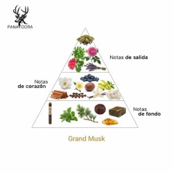 Grand Moschus - Pana Dora Sweden