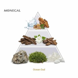 Ozean Oud Extrait de Parfum 50 ml - Ramon Monegal Kostenloser Versand!