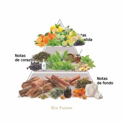 Gin Fusion 50 ml - Lorenzo Pazzaglia Kostenlose Beratung und Sendungen!