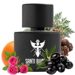Palindrome iii eau de parfum 100 ml - Santi Burgas Kostenloser Versand!