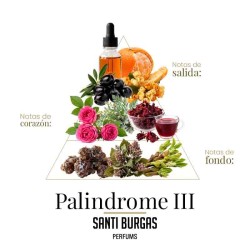Palindrome iii eau de parfum 100 ml - Santi Burgas Kostenloser Versand!