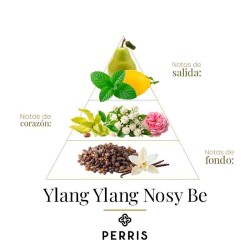 Ylang Ylang Nosy BE - Perris Monte Carlo Free Consulting und Versand!