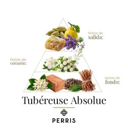 TOFERREAUSE ABSOLE - PERRIS Monte Carlo-Beratung und kostenloser Versand!
