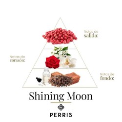 Glänzender Mond EDV 100 ml - Perris Monte Carlo
