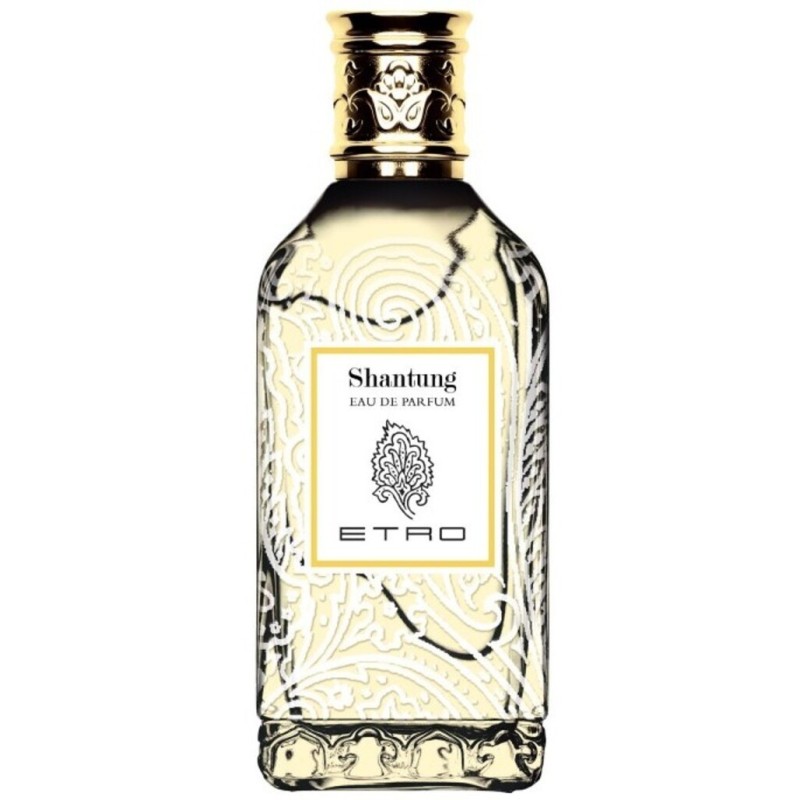 Etro Shanung Eau de Parfum 100ml - frau / unisex Etro