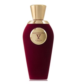 V Canto - Mandragola Extrait Parfum 100 ml Freies Verschiffen!