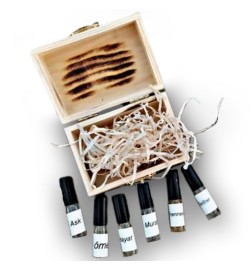 Discovery-Kit 8 x 2 ml - Maiora-freies Verschiffen!