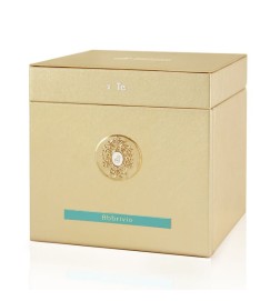 Abbrivium extrait parfum 100 ml - Tiziana Terenzi Kostenloser Versand!