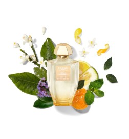 Zeste Mandarin - Creed Kostenlose Beratung und Sendungen!