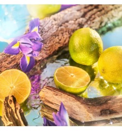 Ozeanien Eau de Parfum - Rote Beratung und freies Verschiffen!
