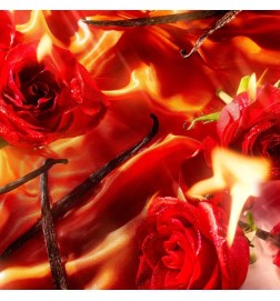 Gefahr Gießen Femme EDP - Rot | Parfümerie-Laura - Kostenloser Versand