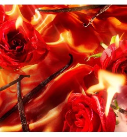 Gefahr Wesen von Parfum gießen femme - rot | Parfümerie-Laura - Kostenloser Versand