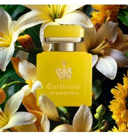 Intensive Parfüm di Ginestra 50 ml - Carthusia | Parfümerie-Laura - Kostenloser Versand
