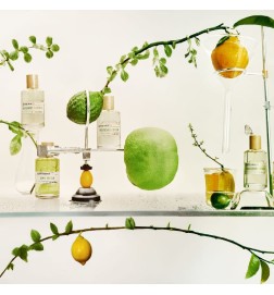 Safran Mandarin - Liquides Imaginaires Kostenlose Beratung und Sendungen!