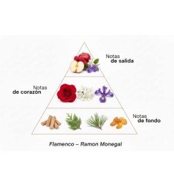 Flamenco EDP - Ramon Monegal