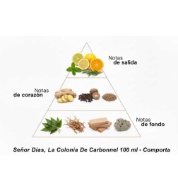 Lord Dias, die Carbononnel-Kolonie 100 ml - comporta | Parfümerie-Laura - Kostenloser Versand