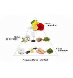 Pikovaya Lady - Xerjoff Kostenlose Beratung und Sendungen!