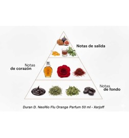 Duran D. Neoorio Fluo Orange-Parfum - Xerjoff | Parfümerie-Laura - Kostenloser Versand