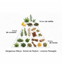 Gefährliche Maryx-Extrait des Parfum 50 ml - Lorenzo Pazzaglia