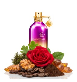 Sinnliches Instinkt 100ml - Montale Paris Kostenlose Beratung und Sendungen!