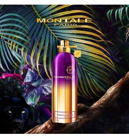 Sinnliches Instinkt 100ml - Montale Paris Kostenlose Beratung und Sendungen!