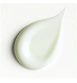 ASOCANT 50 ml Beschützer - Stendhal
