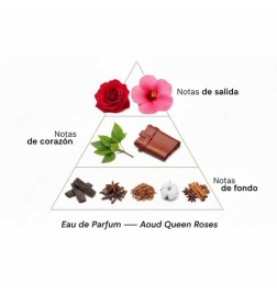 AOUD Queen Roses 100 ml - Montale Paris Kostenlose Beratung und Sendungen!